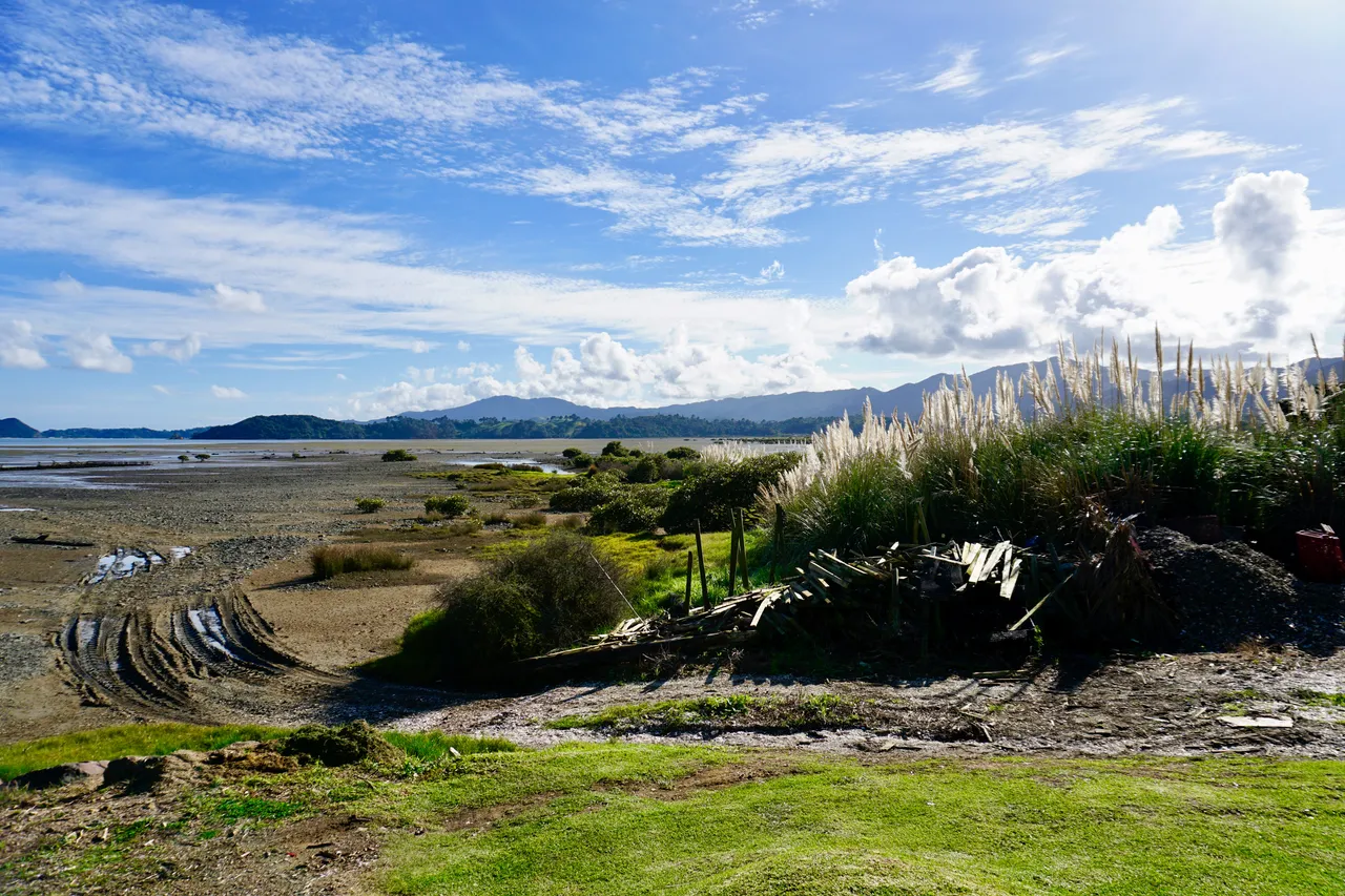 Coromandel8