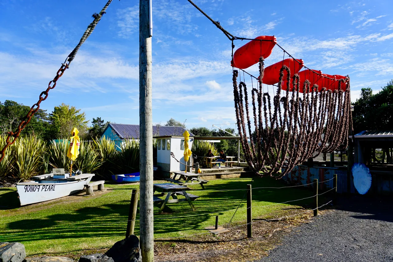Coromandel5