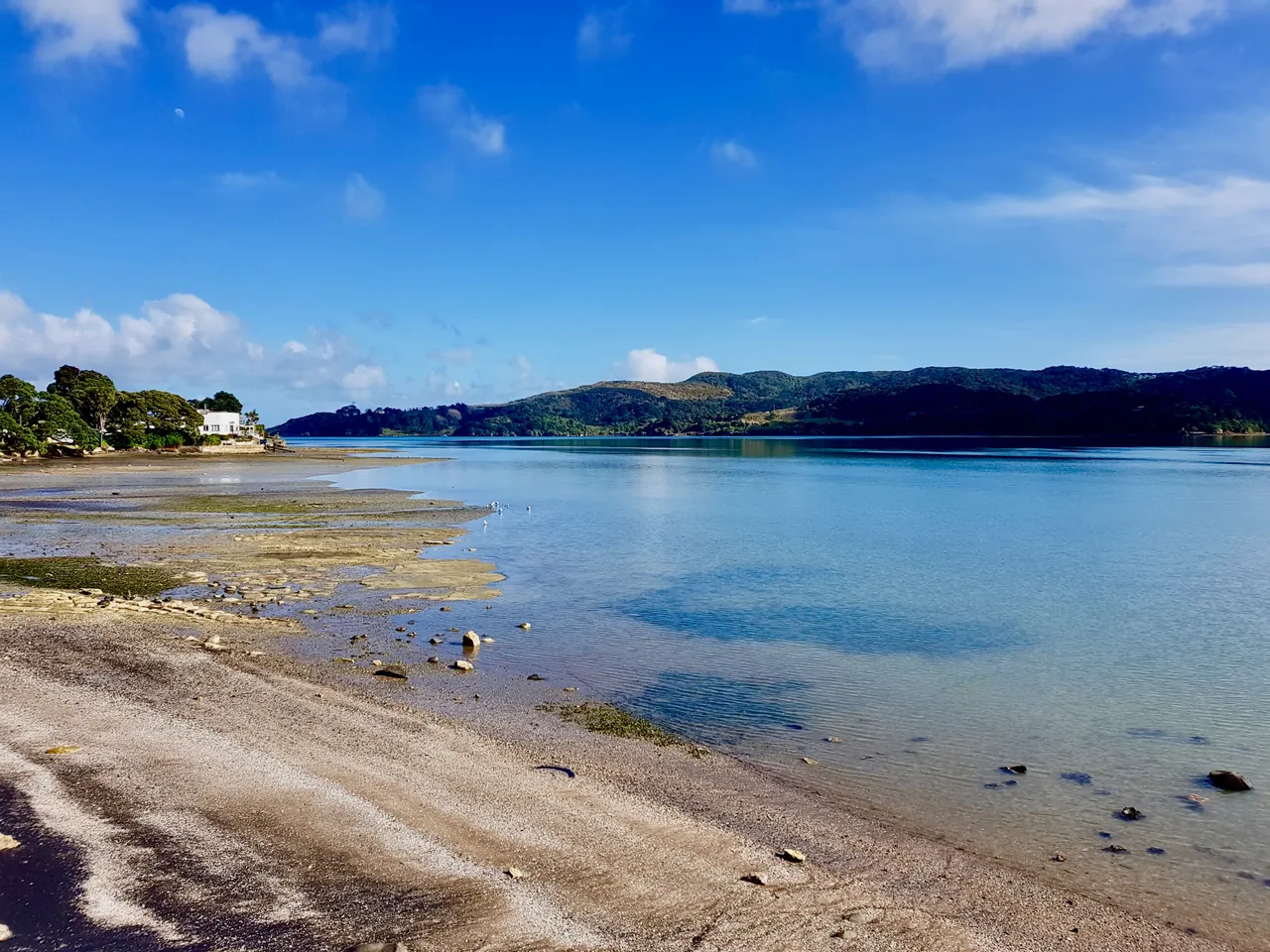 Raglan17