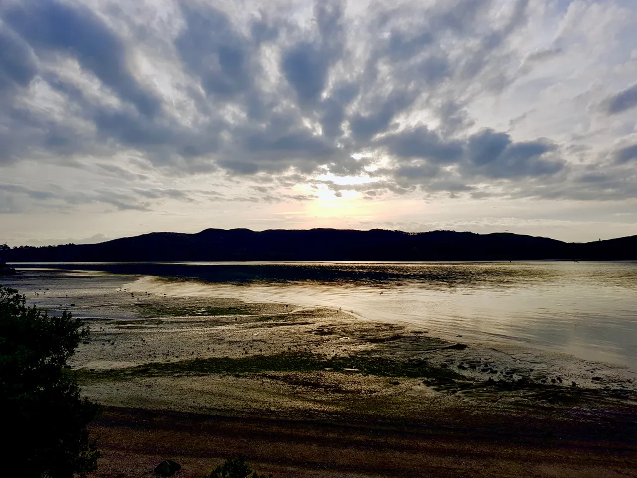 Raglan5