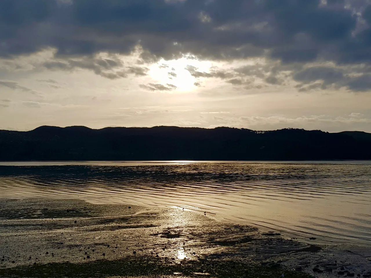 Raglan6