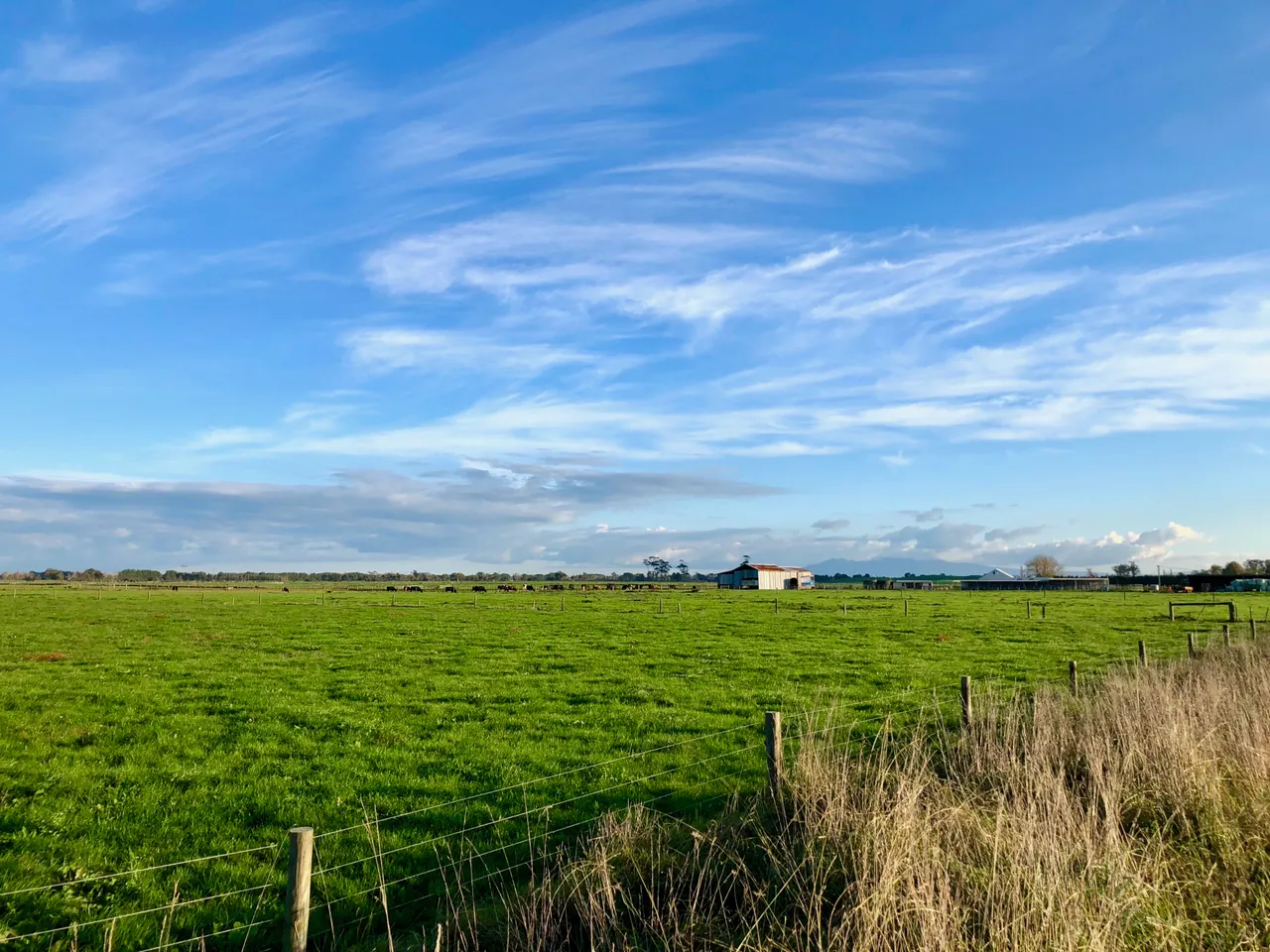 WaikatoFarmDay5