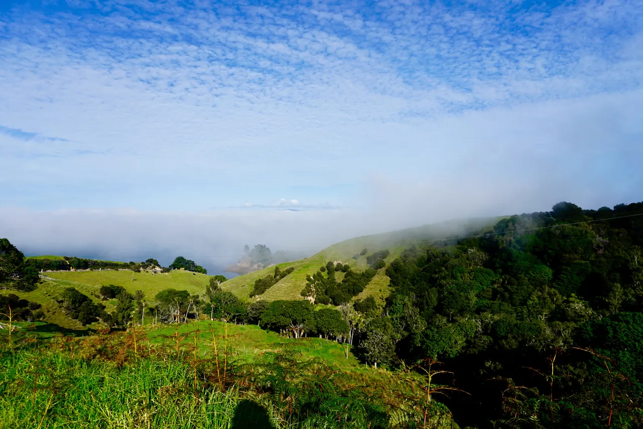 Coromandel75