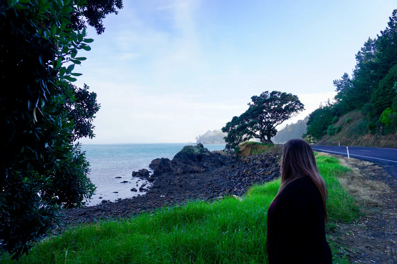 Coromandel73