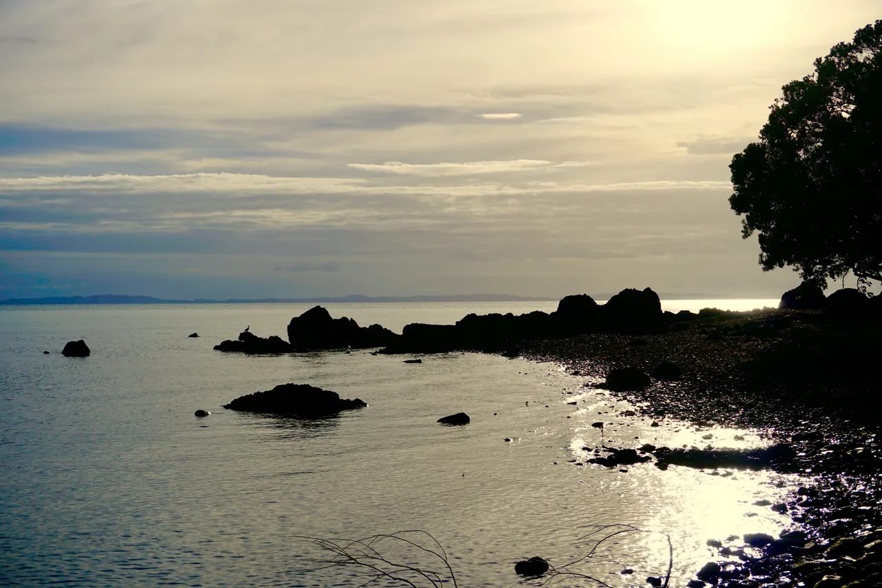 Coromandel68
