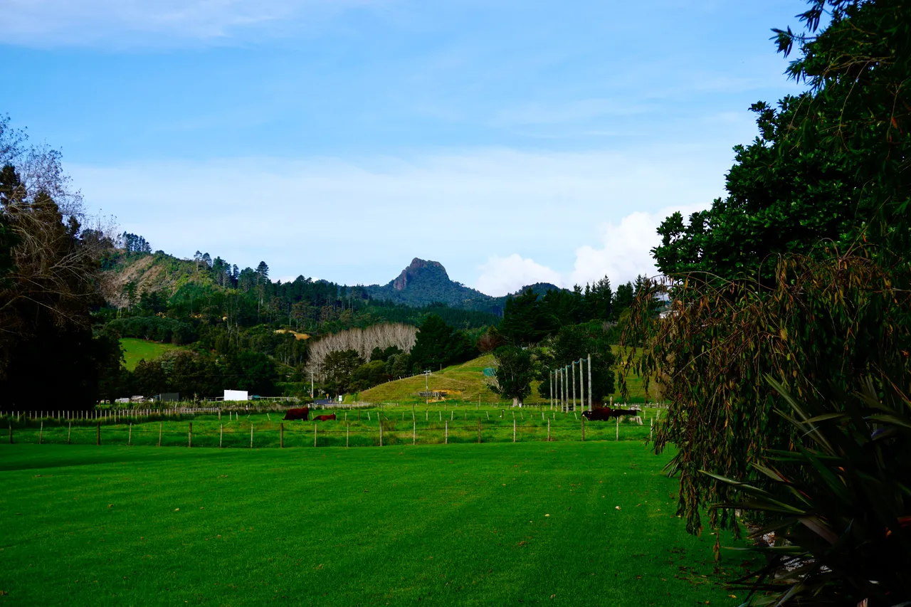 Coromandel58