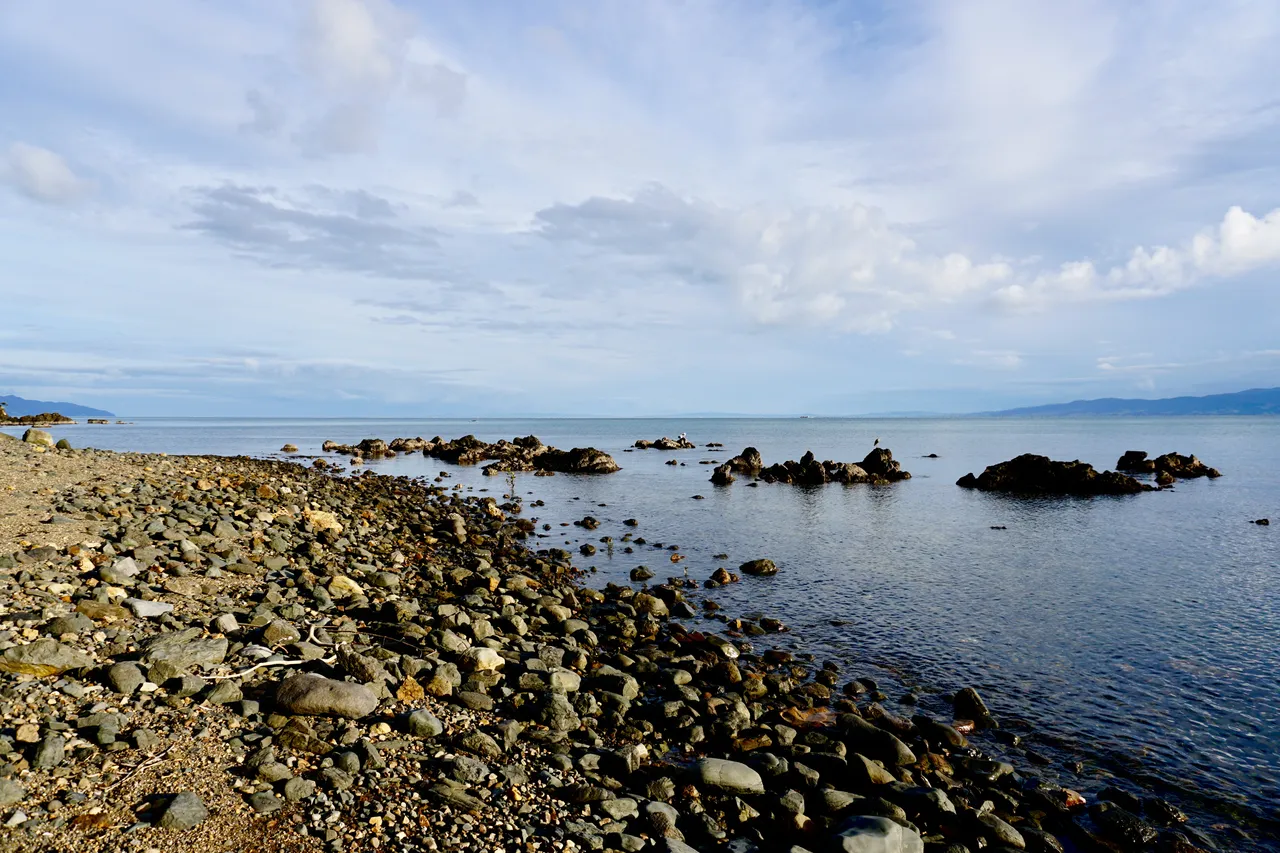 Coromandel69