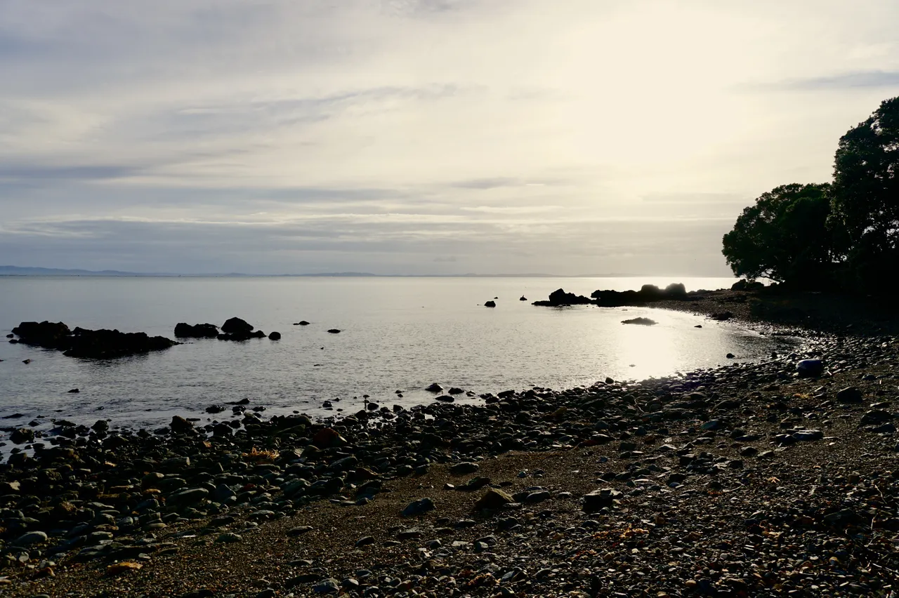 Coromandel70