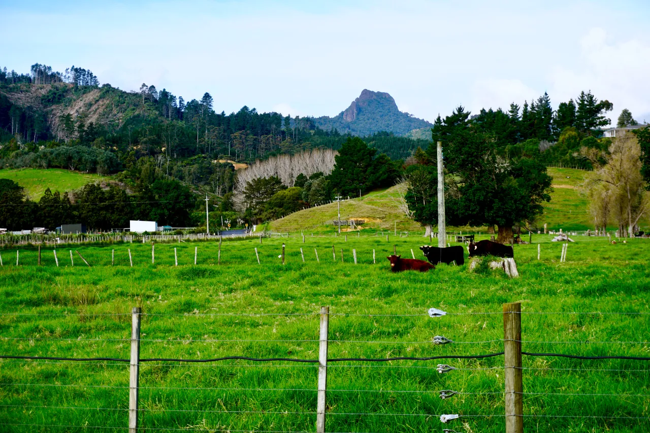 Coromandel60