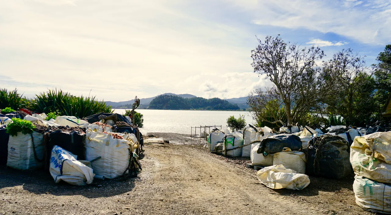 Coromandel48