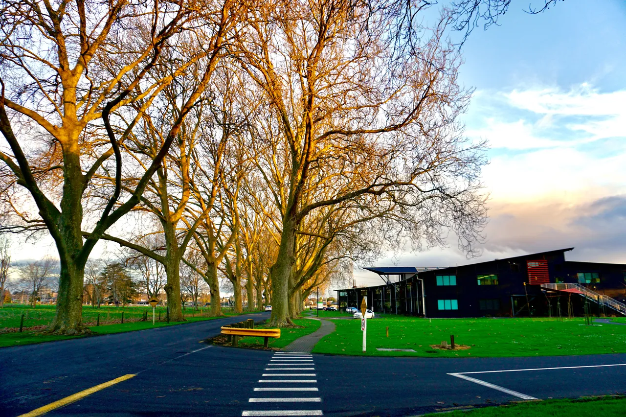 Waikato Innovation Park