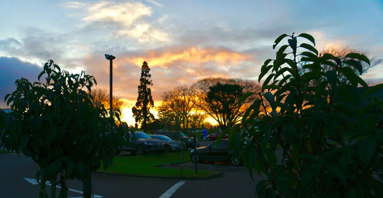 Waikato Innovation Park