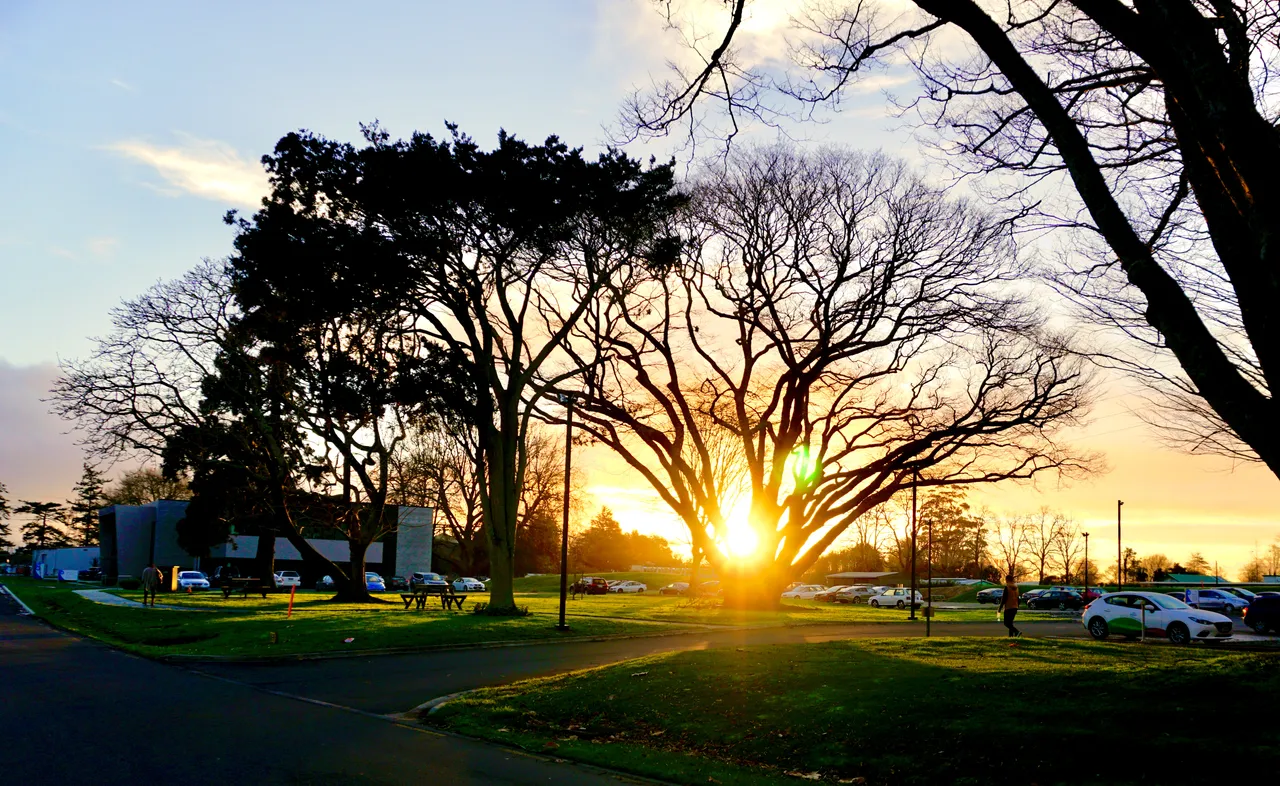 Waikato Innovation Park