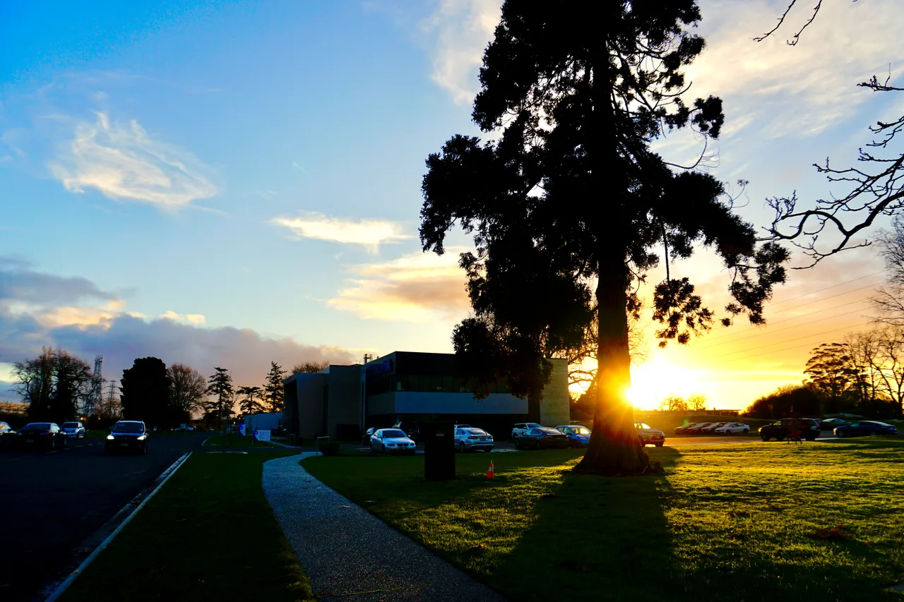 Waikato Innovation Park