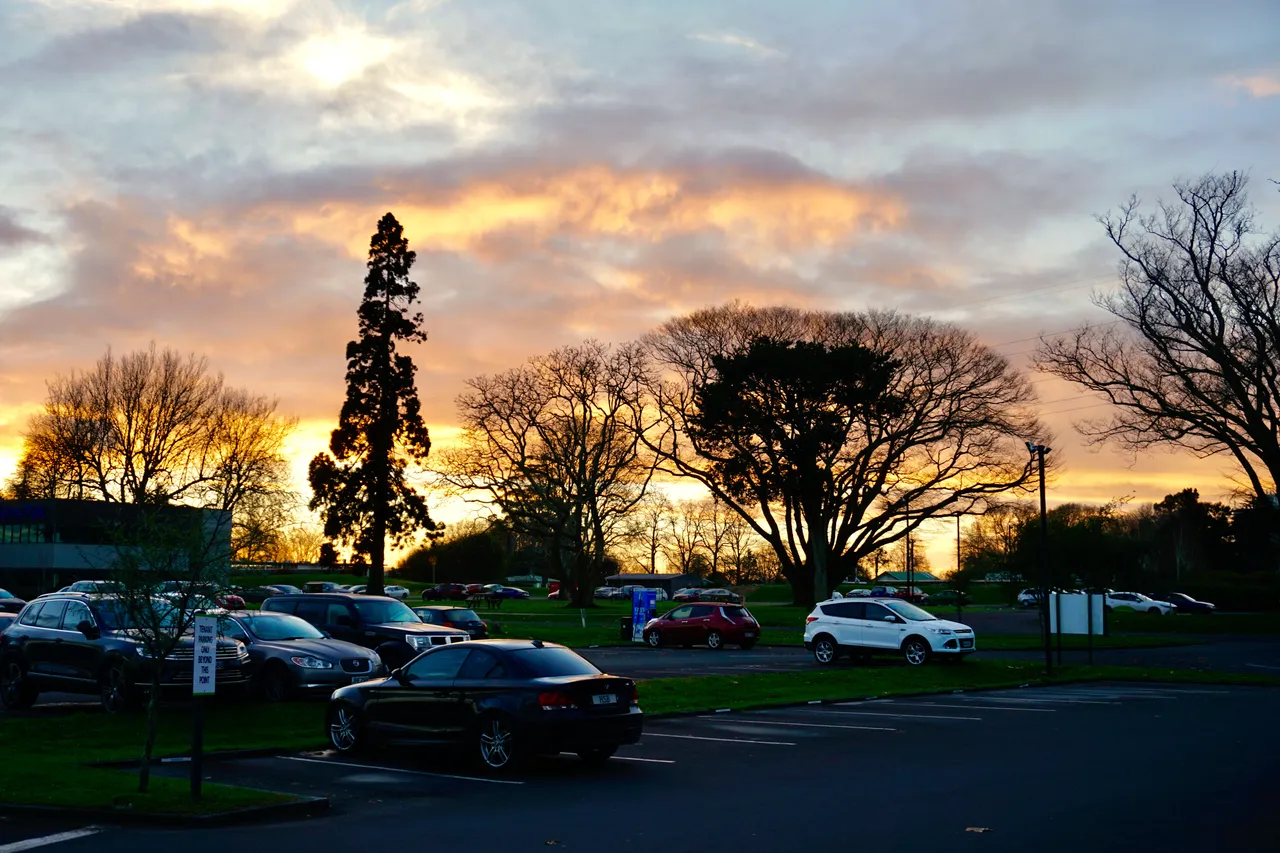 Waikato Innovation Park