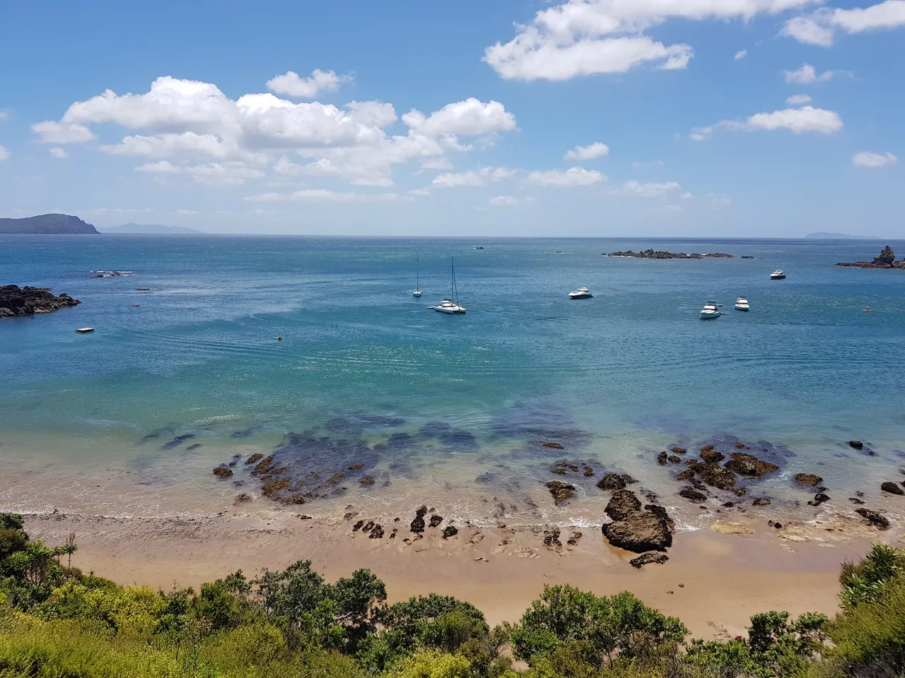 Little Bay (3)