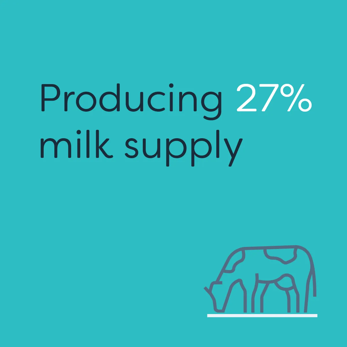Te Waka_Waikato Story_Milk Supply 2