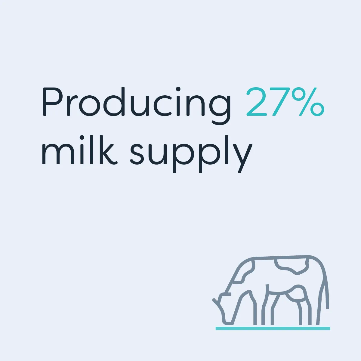 Te Waka_Waikato Story_Milk Supply 3
