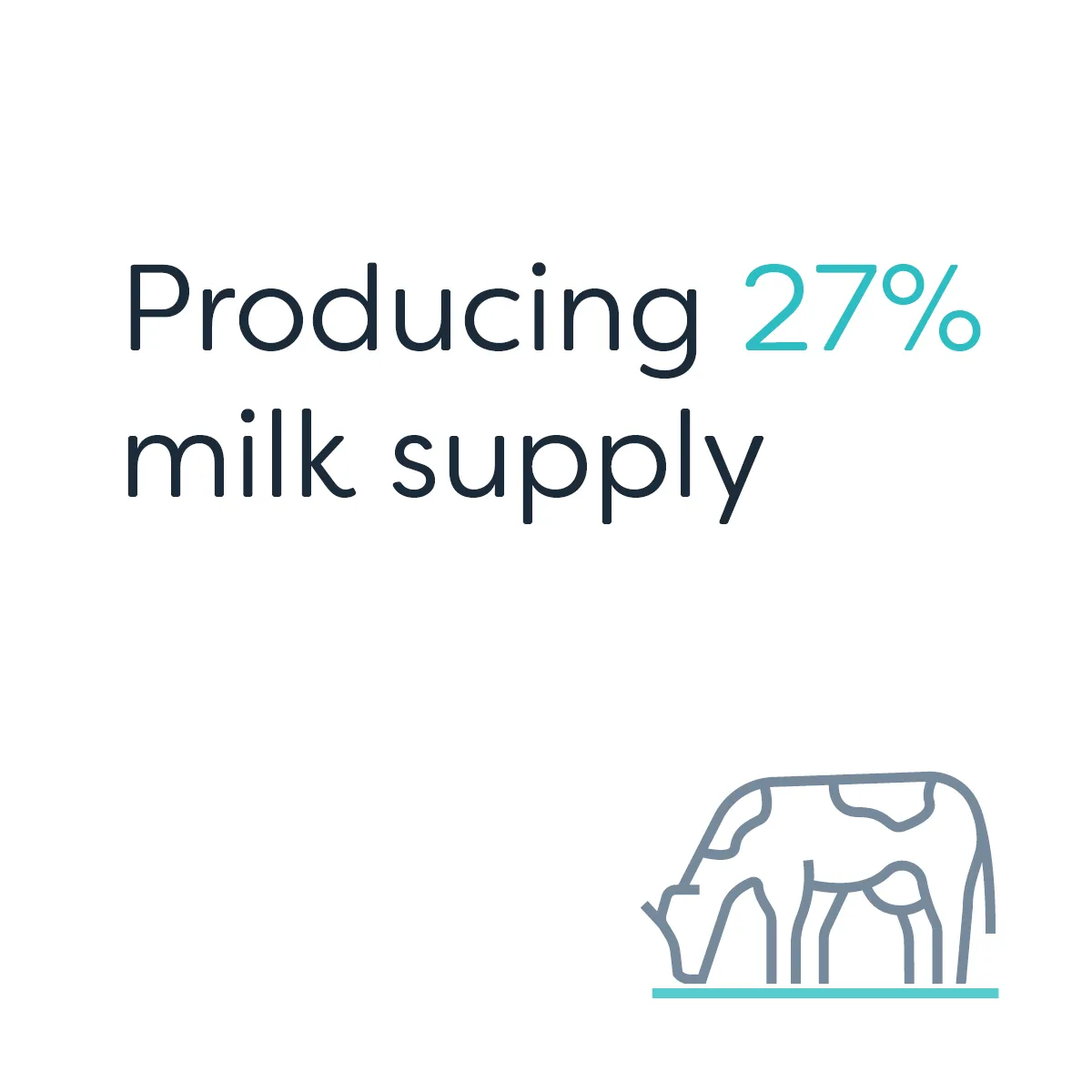 Te Waka_Waikato Story_Milk Supply 4