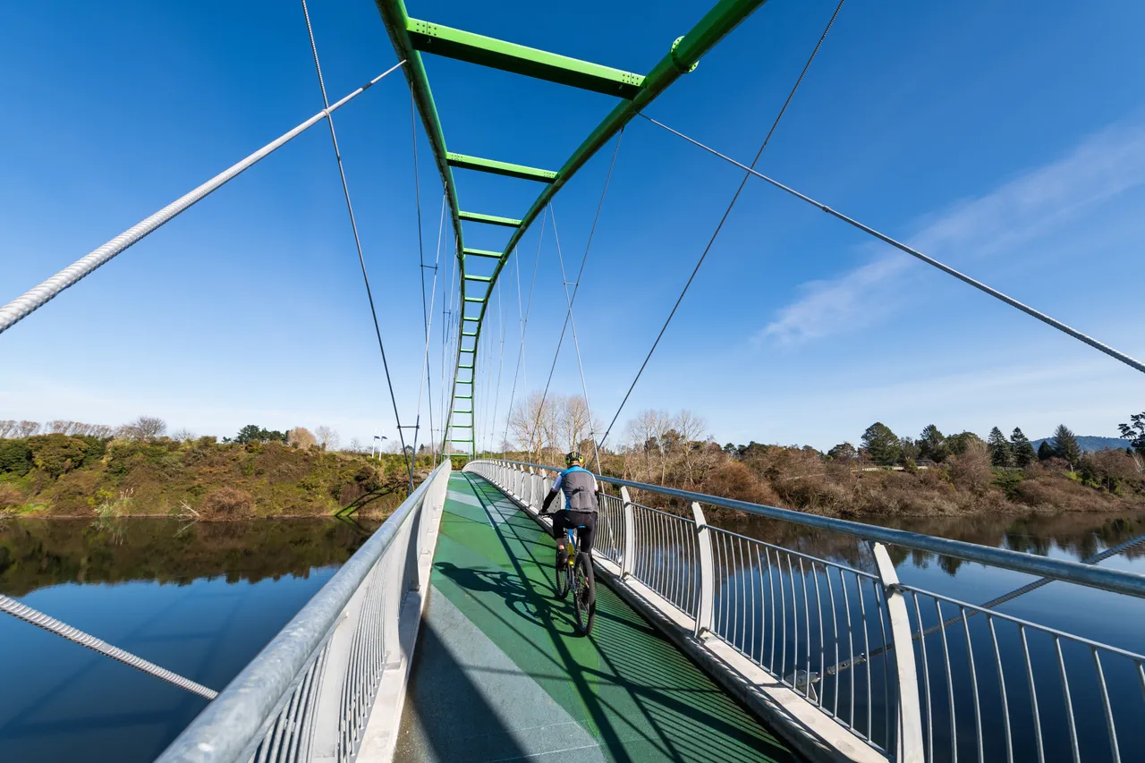 Perry Bridge, Horotiu