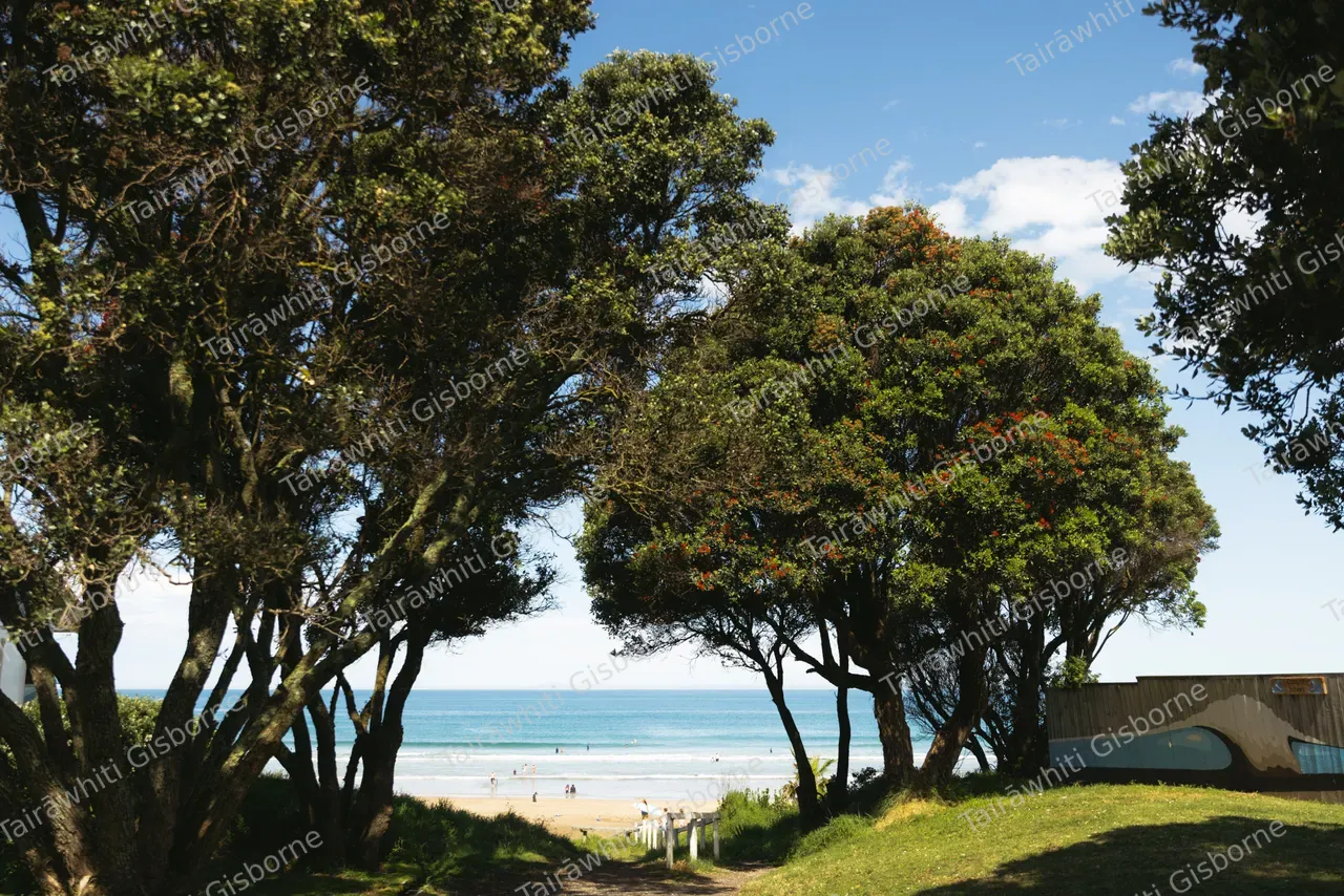 Wainui Beach