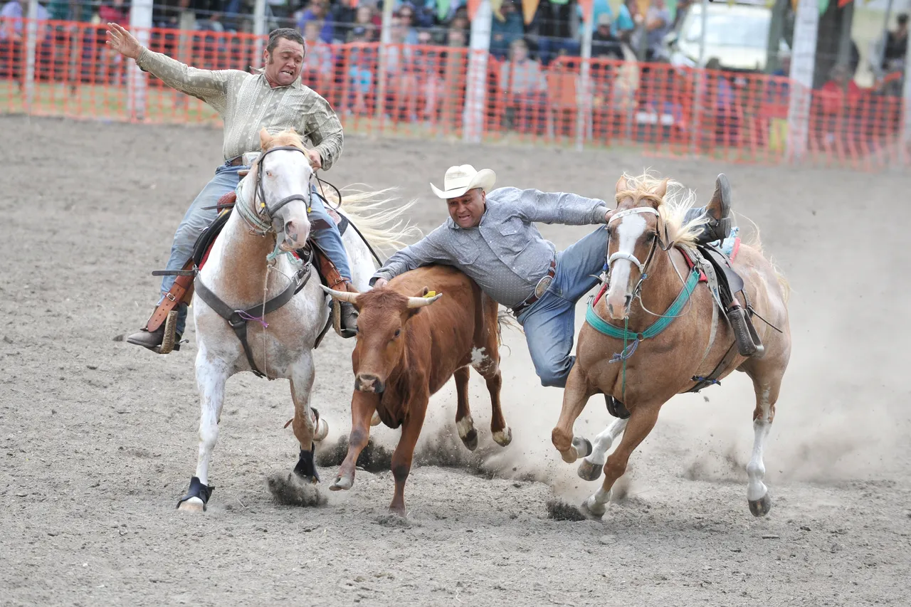 Gisborne Rodeo