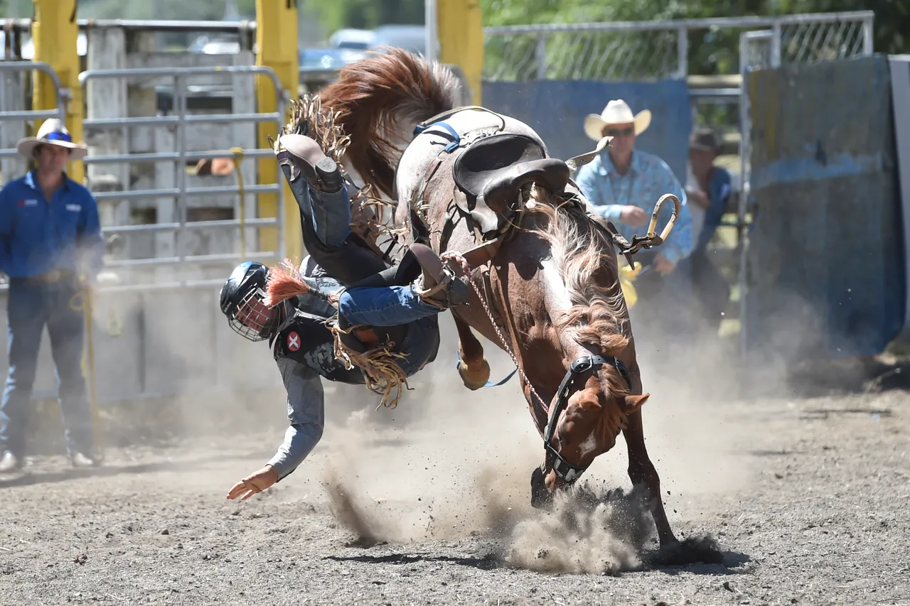 Gisborne Rodeo