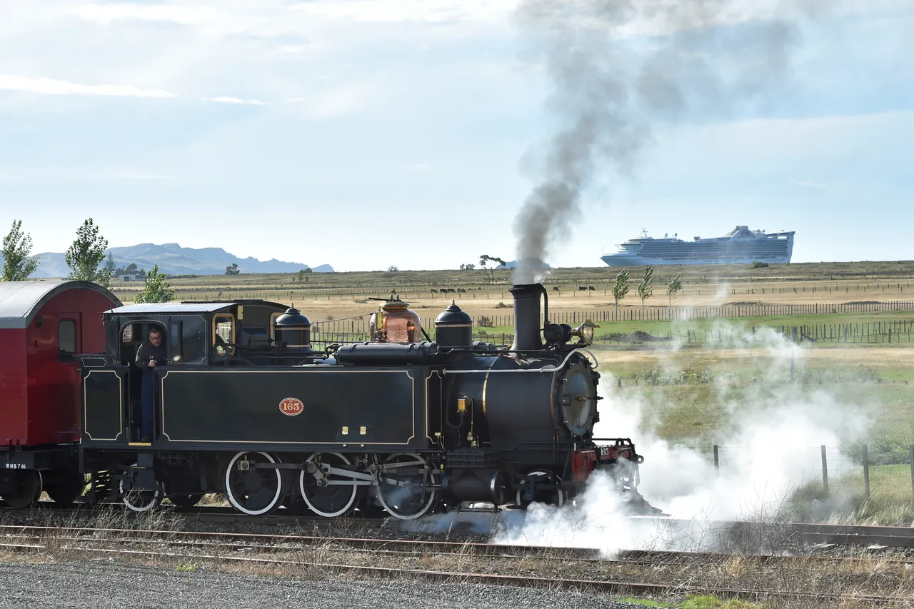 Wa165 Steam Train & Golden Princess cruise ship