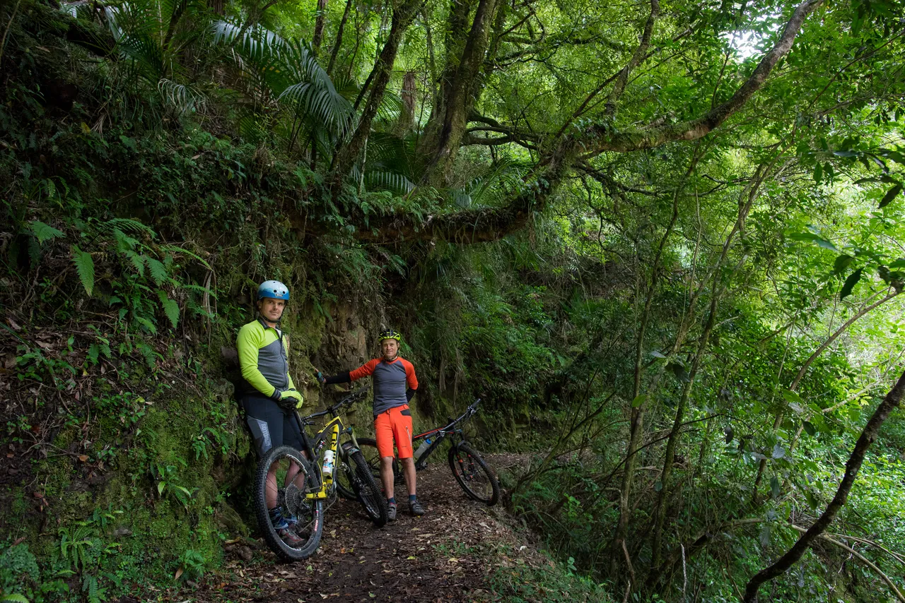 Pakihi Track