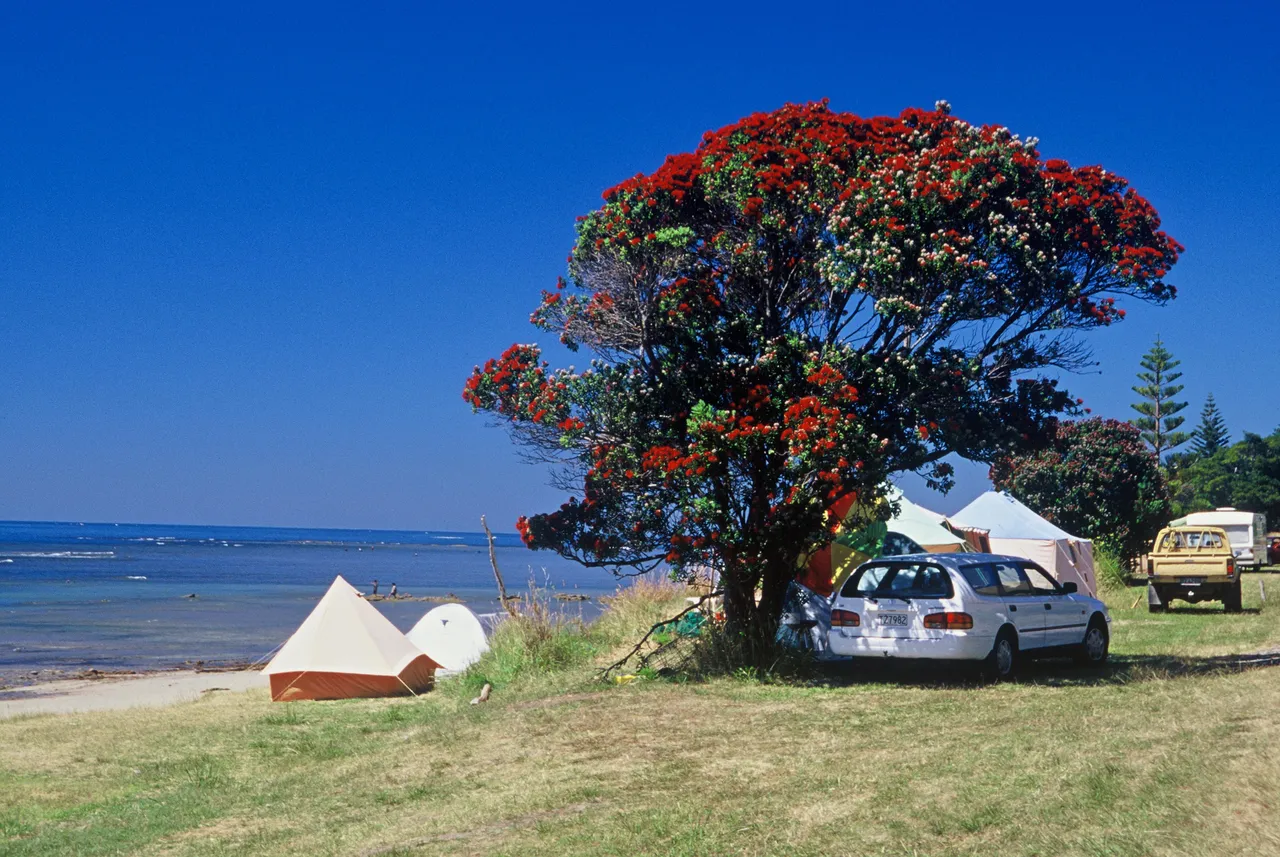 Summer camping