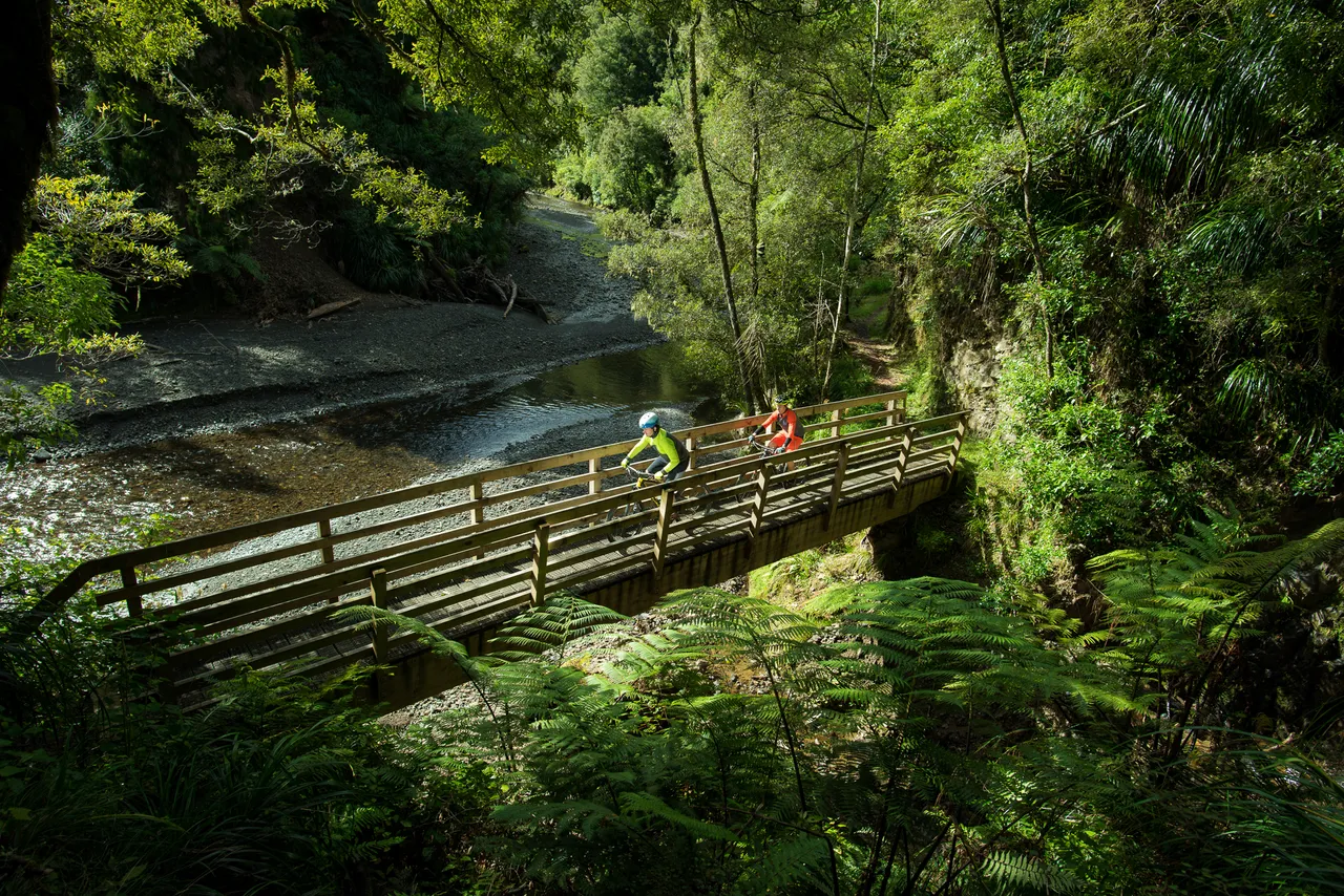 Pakihi Track