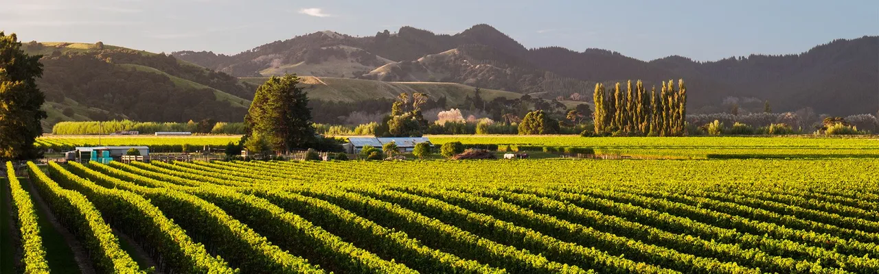 Album cover Do Business