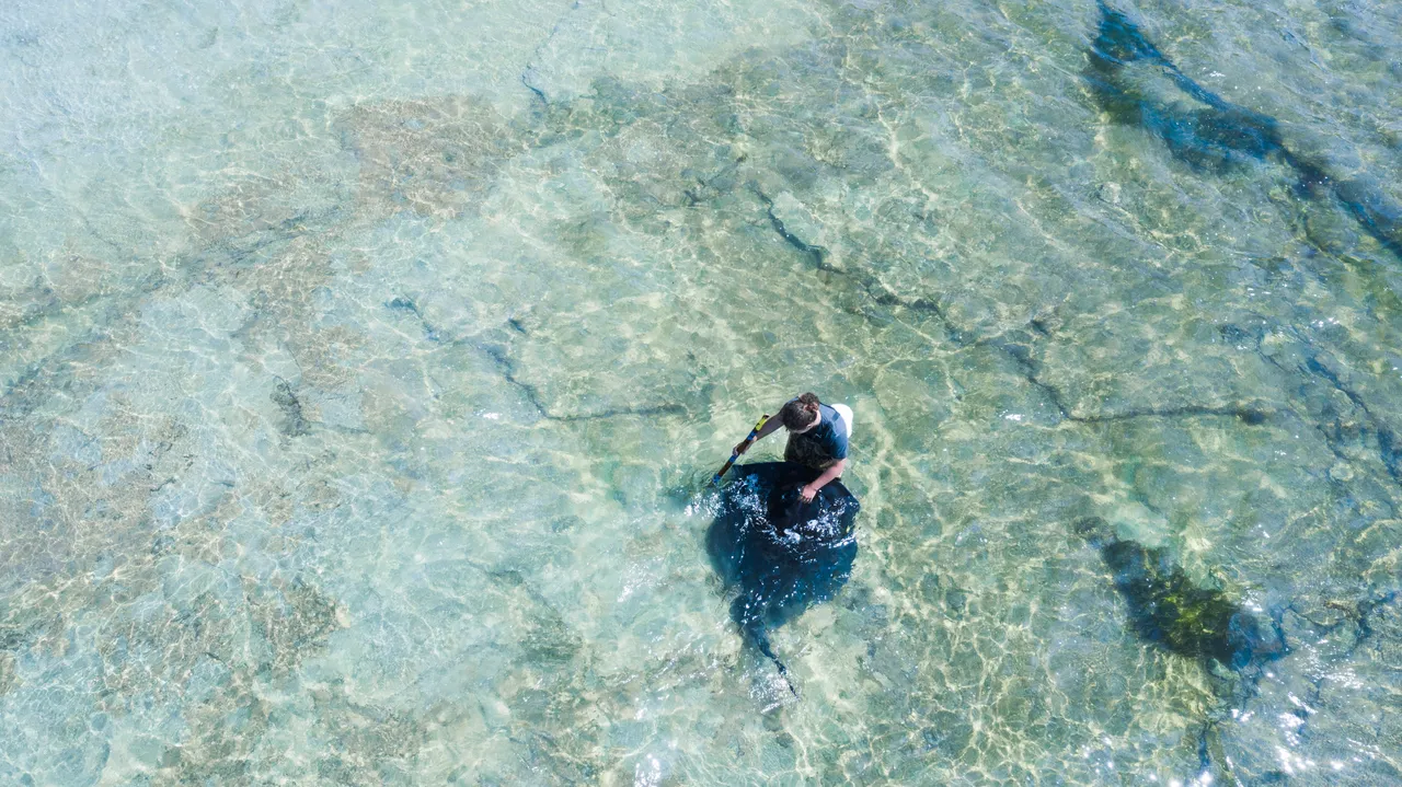 Dive Tatapouri