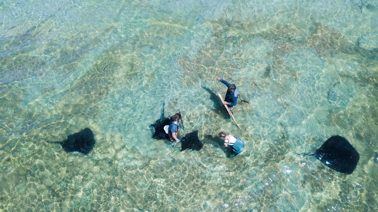 Dive Tatapouri