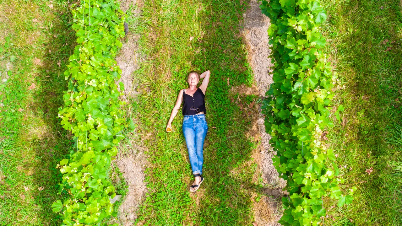 Millton Vineyards & Winery