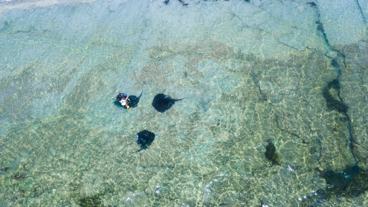 Dive Tatapouri