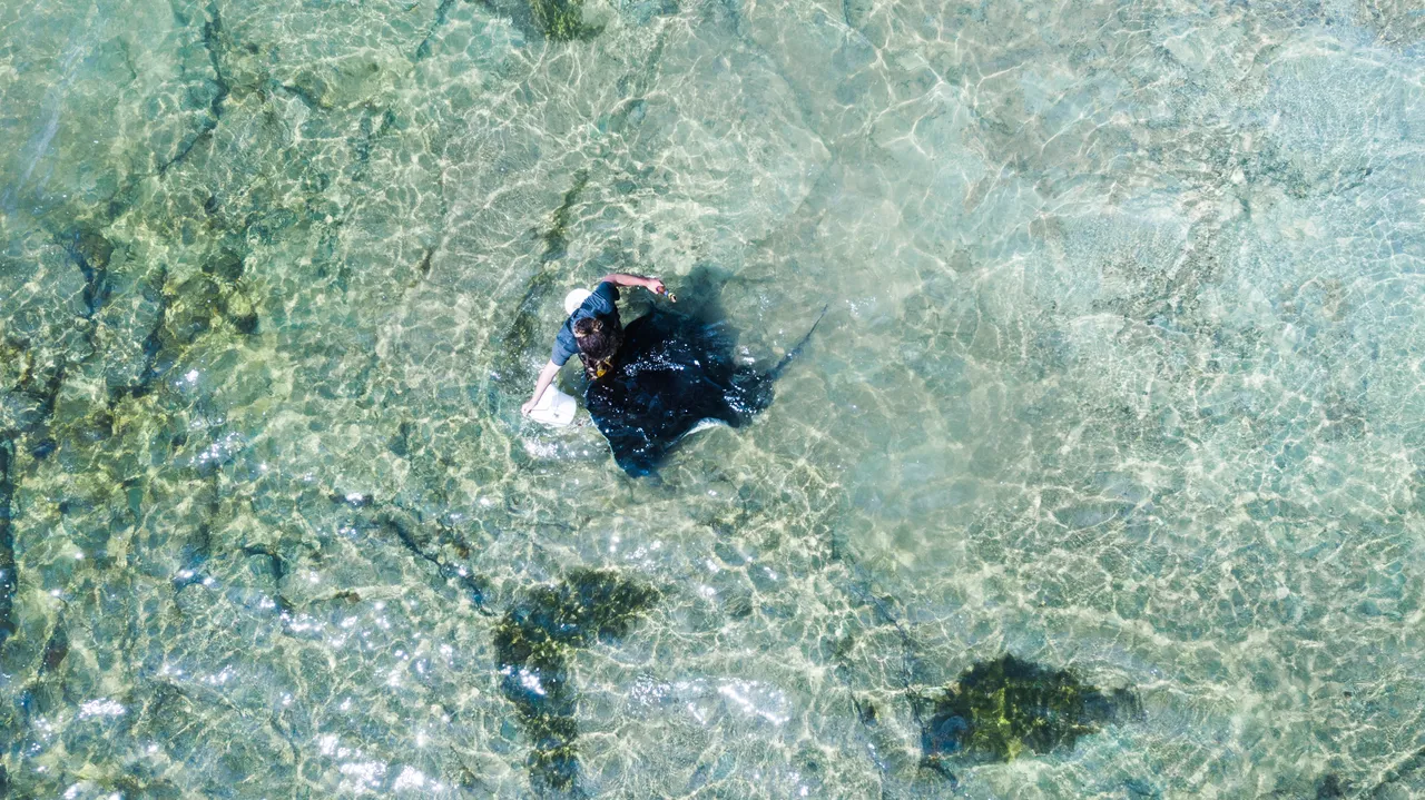 Dive Tatapouri