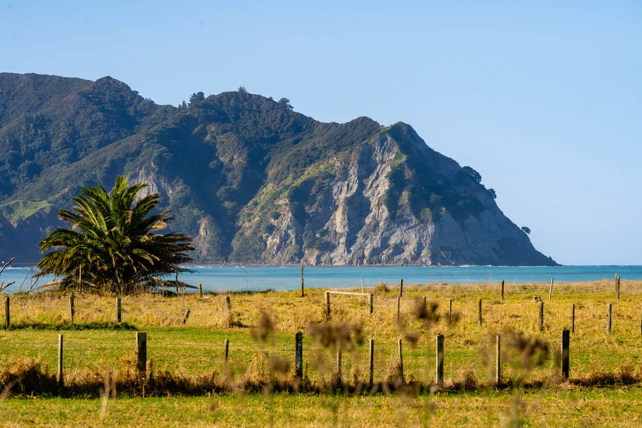 Tokomaru Bay