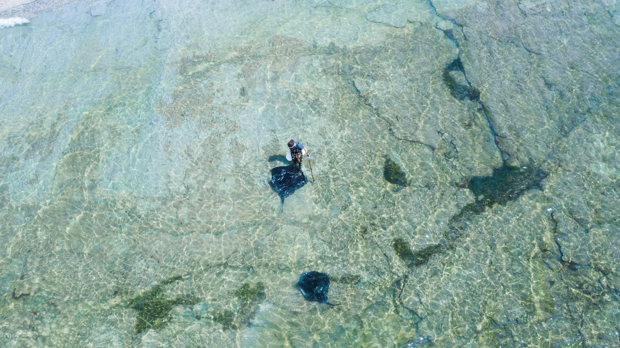 Dive Tatapouri