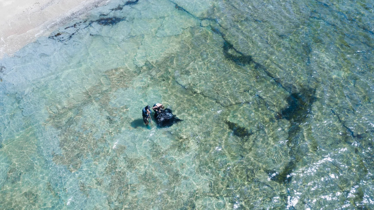 Dive Tatapouri