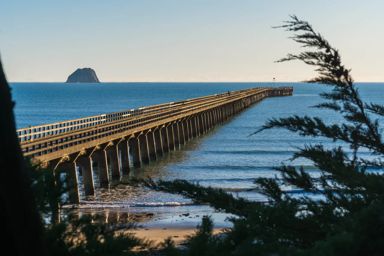 Tolaga Bay Wharf