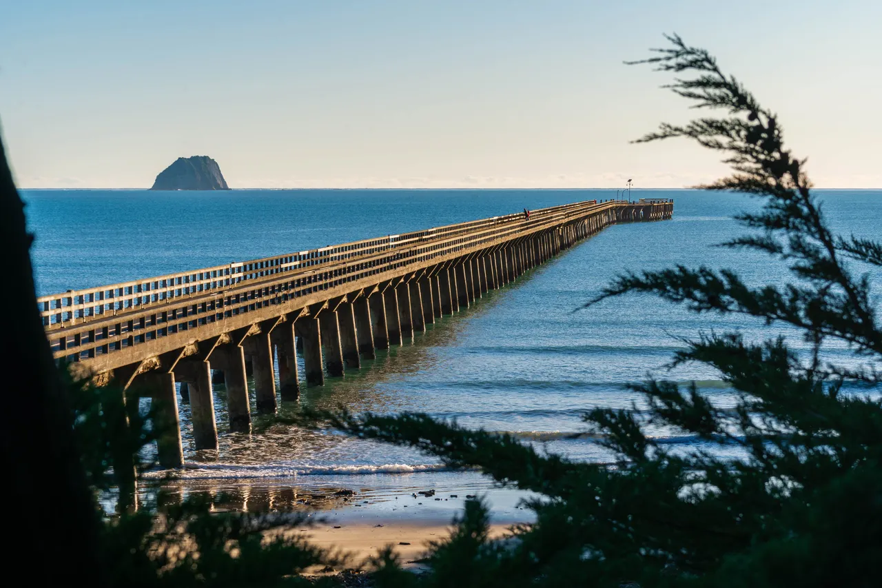 Tolaga Bay Wharf