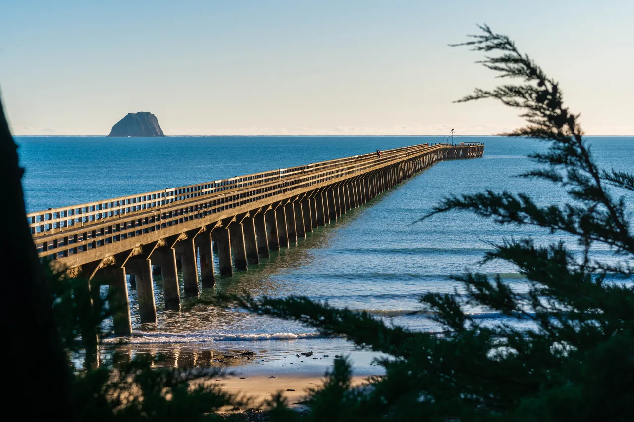 Tolaga Bay Wharf