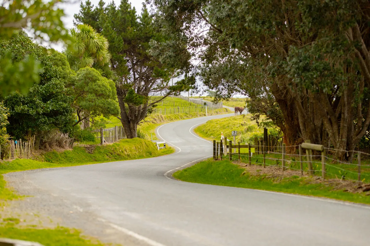 Country Road 3