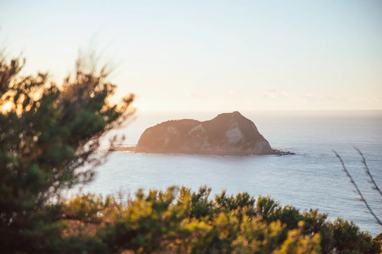 Whangaokeno East Island - East Cape
