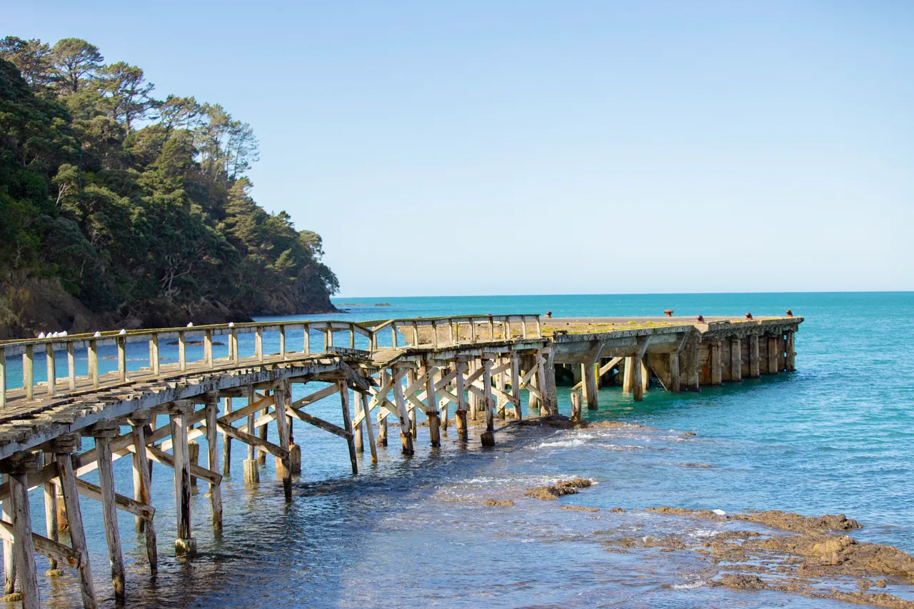 Wharekahika - Hicks Bay - Wharf