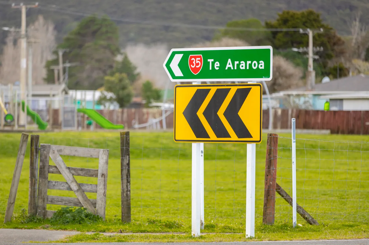 Te Araroa