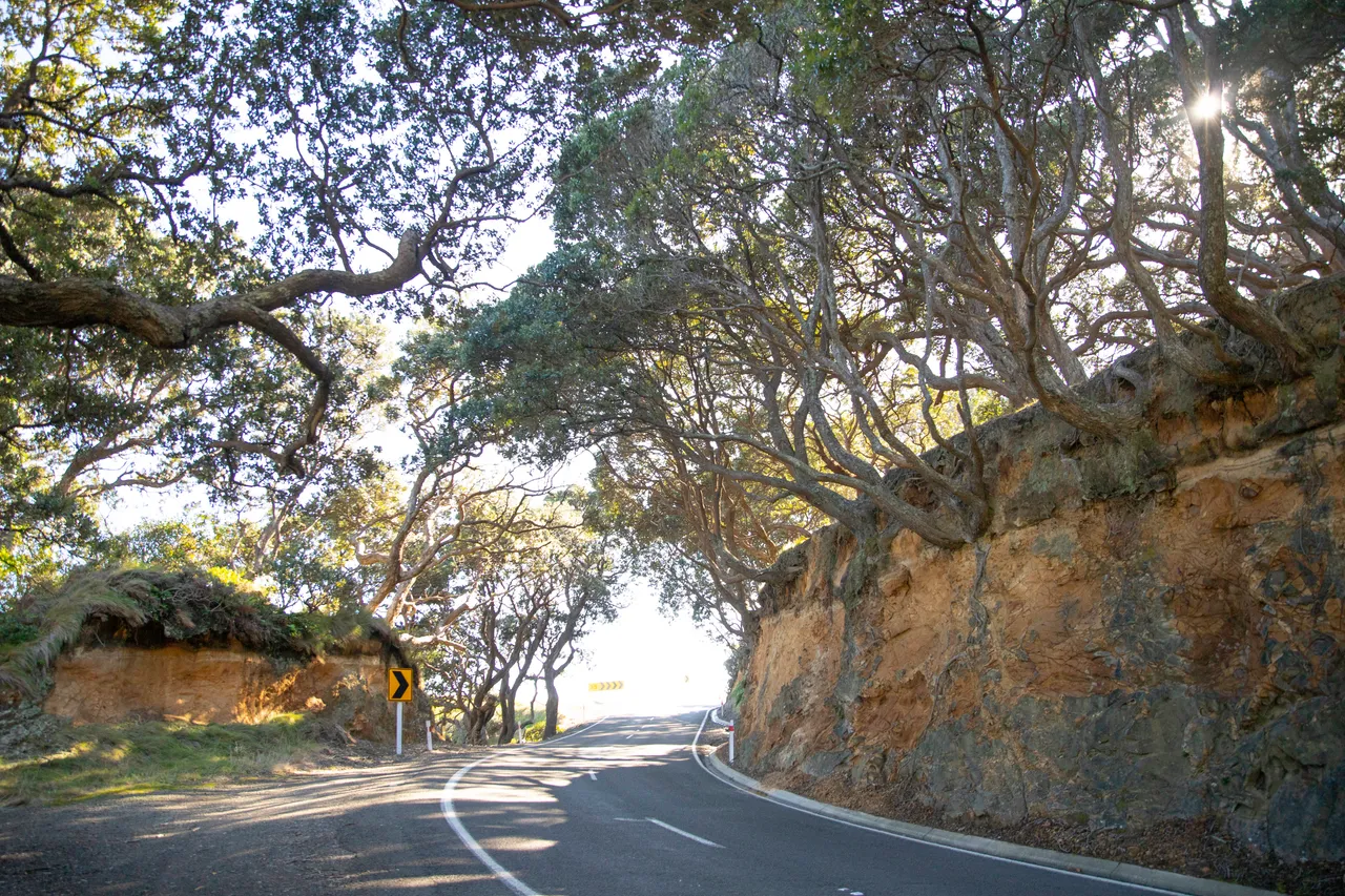 State Highway 35