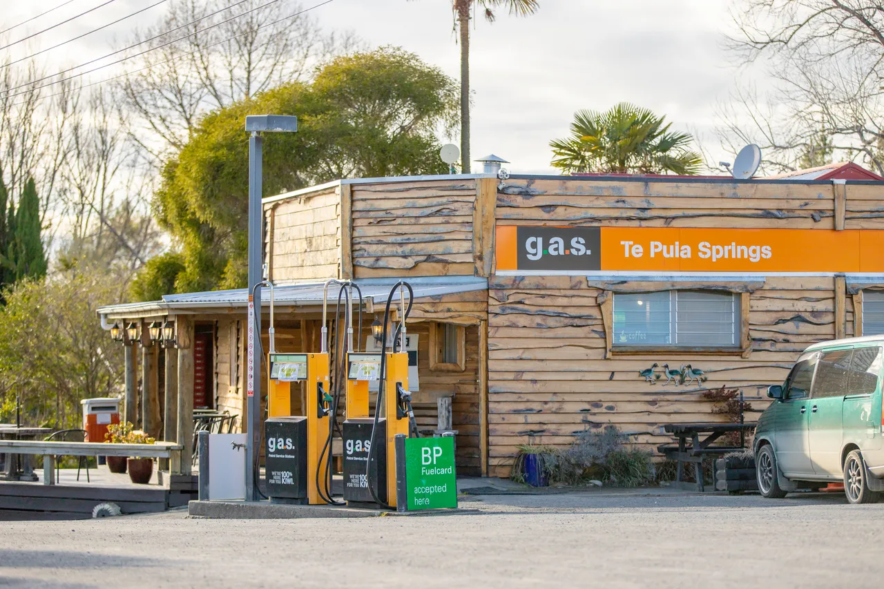 Te Puia Springs