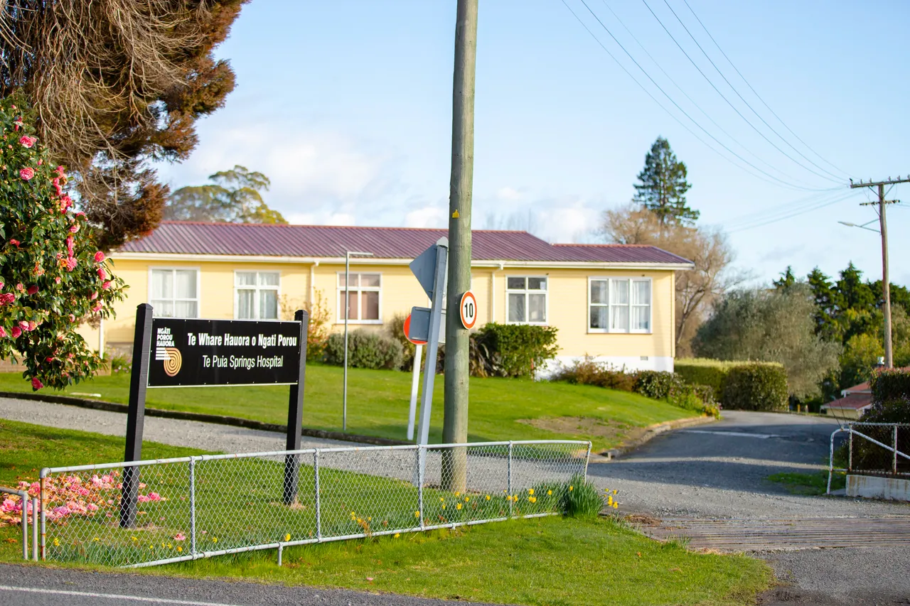 Te Puia Springs